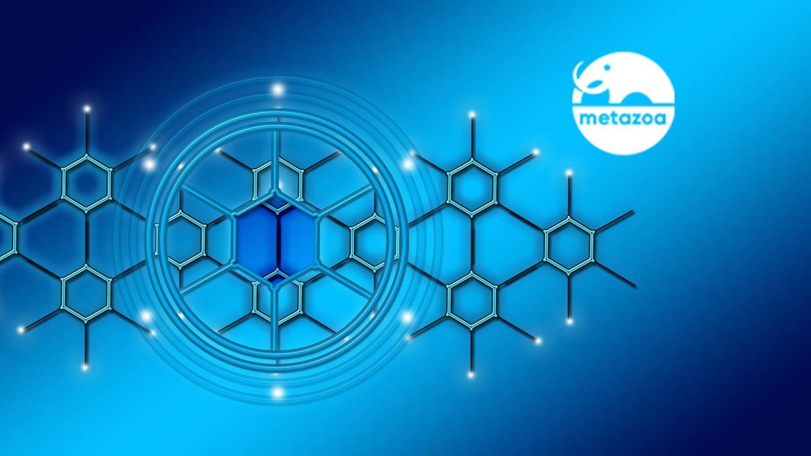 Metazoa Adds Impact Analysis Reporting To Its Salesforce Org Management Platform Snapshot