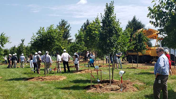 A tree-planting ceremony was part of the groundbreaking at the Quantum Loophole campus in Frederick County, Maryland. (Photo: Rich Miller) 