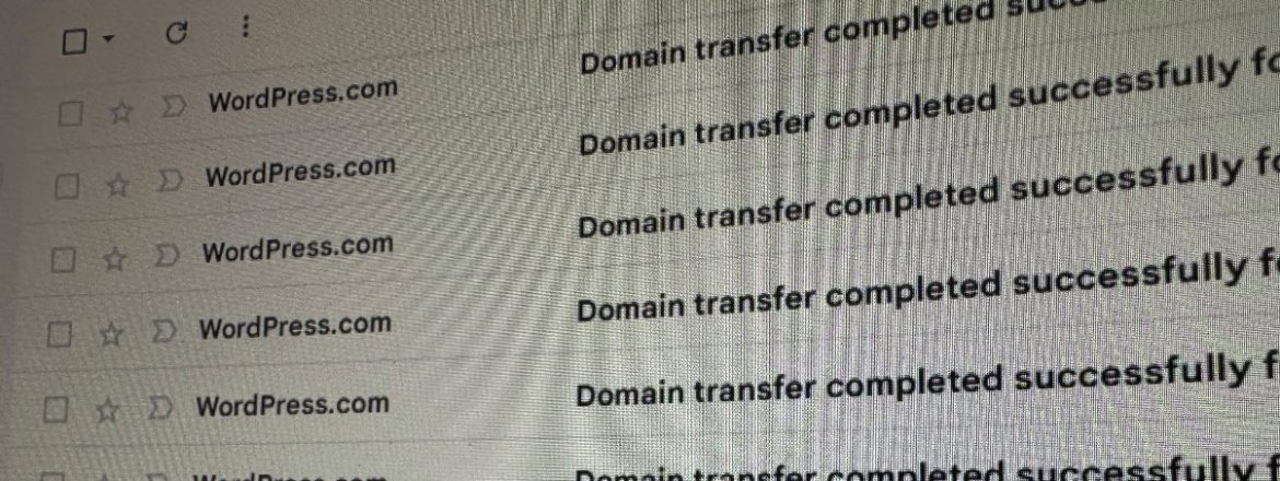 WordPress gains 44,000 domains from Google Domains (so far)